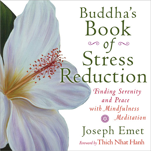 Buddha's Book of Stress Reduction